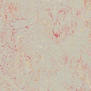 Forbo Marmoleum Click Cinch LOC Seal Waterproof Seal 333432 Fruit Punch 12