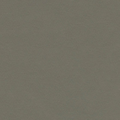 Forbo Grey Adobe Linoleum Sheet 3375 Marmoleum Walton (79" Width)