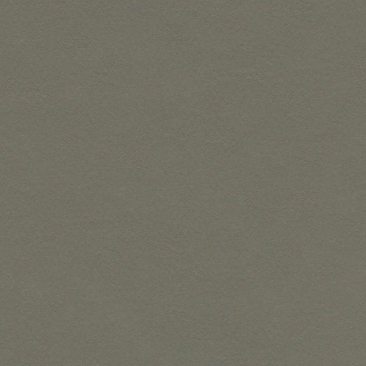 Forbo Marmoleum Walton 3375 Grey Adobe Linoleum Sheet Flooring