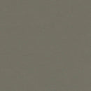 Forbo Marmoleum Walton 3375 Grey Adobe Linoleum Sheet Flooring (Partial Piece - Sample)