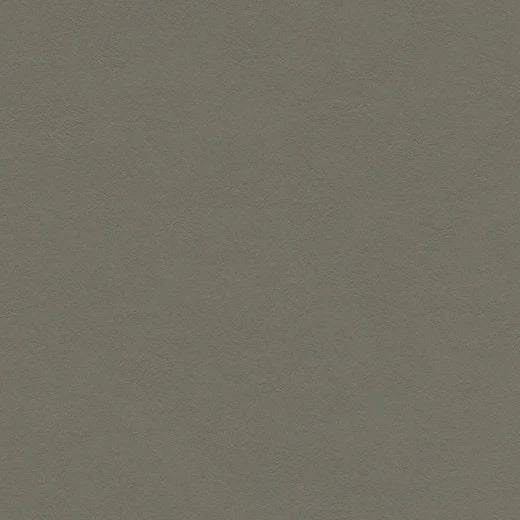 Forbo Marmoleum Walton 3375 Grey Adobe Linoleum Sheet Flooring (Partial Piece - Sample)