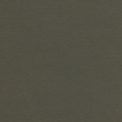 Forbo Peat Linoleum Sheet 3376 Marmoleum Walton (79" Width)