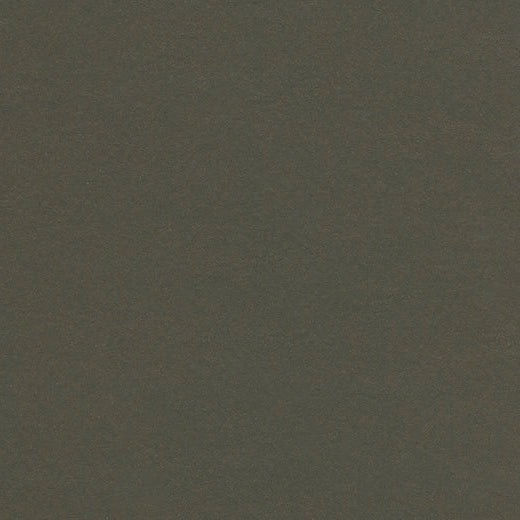 Forbo Marmoleum Walton 3376 Peat Linoleum Sheet Flooring