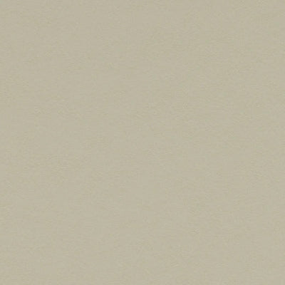 Forbo Stucco Linoleum Sheet 3378 Marmoleum Walton (79" Width)