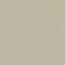 Forbo Marmoleum Walton 3378 Stucco Linoleum Sheet Flooring (Partial Piece - Sample)