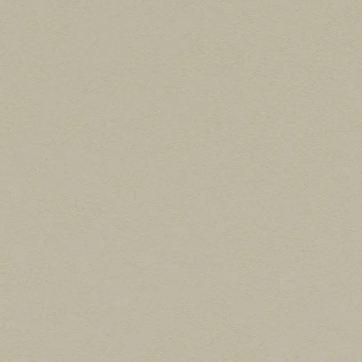 Forbo Marmoleum Walton 3378 Stucco Linoleum Sheet Flooring (Partial Piece - Sample)