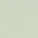 Forbo Arctic Linoleum Sheet 3749 Marmoleum Concrete (Partial Piece - Sample)