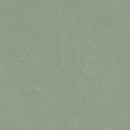 Forbo Solid Concrete 3750 Pine Forest Linoleum Sheet Flooring (79' Width)
