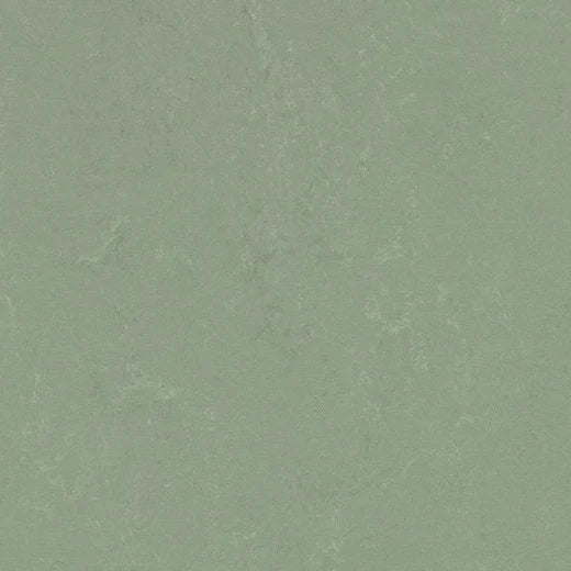 Forbo Solid Concrete 3750 Pine Forest Linoleum Sheet Flooring (Partial Piece - Sample)