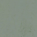 Forbo Solid Concrete 3751 Tundra Linoleum Sheet Flooring (79' Width)
