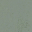 Forbo Solid Concrete 3751 Tundra Linoleum Sheet Flooring (Partial Piece - Sample)