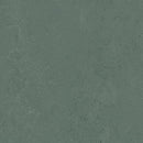 Forbo Solid Concrete 3752 Taiga Linoleum Sheet Flooring (Partial Piece - Sample)