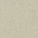 Forbo Solid Concrete 3757 Pluto Linoleum Sheet Flooring (Partial Piece - Sample)