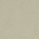 Forbo Solid Concrete 3758 Shale Linoleum Sheet Flooring (79' Width)