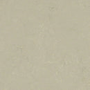 Forbo Solid Concrete 3758 Shale Linoleum Sheet Flooring (Partial Piece - Sample)