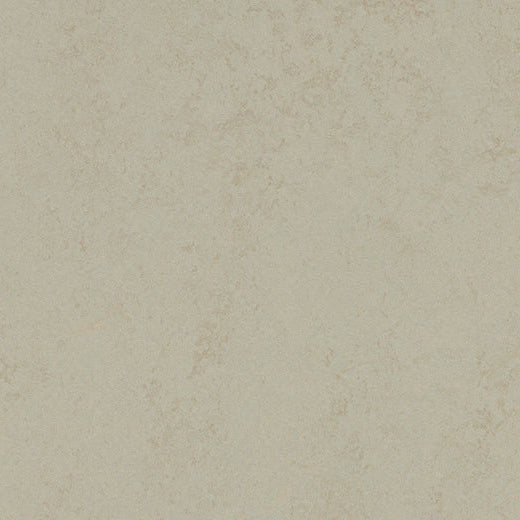 Forbo Solid Concrete 3760 Dust Linoleum Sheet