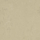 Forbo Solid Concrete 3761 Titan Linoleum Sheet Flooring (79' Width)