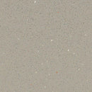 Forbo Fossil Slip Resistant Sheet Vinyl 174232 Eternal Step SR (Partial Piece - Sample)