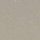 Forbo Eternal Step SR 174232 Fossil Vinyl Sheet (79