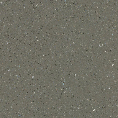 Forbo Earth Slip Resistant Sheet Vinyl 174872 Eternal Step SR (79" Width)