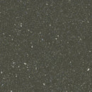 Forbo Eternal Step SR 174282 Dragon Vinyl Sheet (79