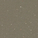 Forbo Umber Slip Resistant Sheet Vinyl 174262 Eternal Step SR (Partial Piece - Sample)