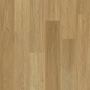 Engineered Floors Charlotte Laminate L050-5508 PureGrain Renew Empower 7