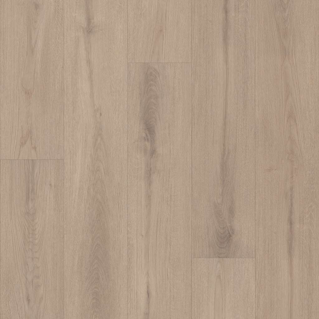 Shaw Ascent Nb 2832V-05179 Journal 8.85" X 72" Floating LVP