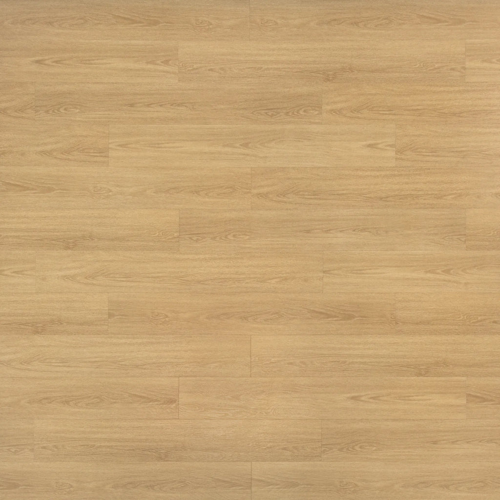2904_product_1_2000px.webp?v=