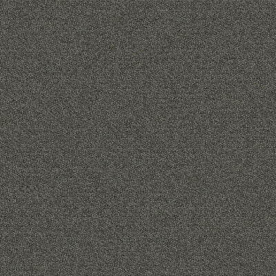 Aladdin Scholarship II QA101-679 Ironstone 24" x 24" Carpet Tile (96 SF/Box)