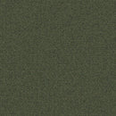 Aladdin Scholarship II QA101-689 Emerald 24