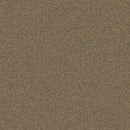 Aladdin Scholarship II QA101-837 Sienna 24