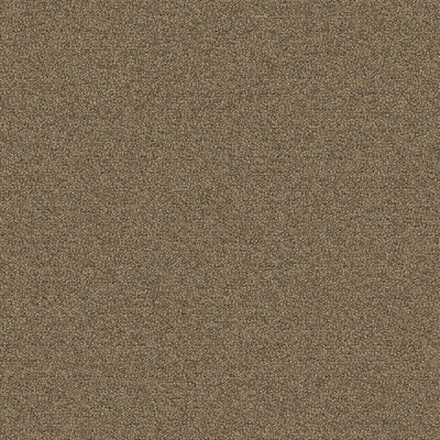 Aladdin Scholarship II QA101-837 Sienna 24" x 24" Carpet Tile (96 SF/Box)
