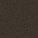 Aladdin Scholarship II QA101-879 Bark 24