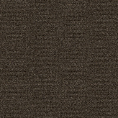 Aladdin Scholarship II QA101-879 Bark 24" x 24" Carpet Tile (96 SF/Box)