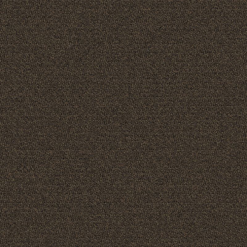 Aladdin Scholarship II Carpet Tile QA101-879 Bark 24" x 24"