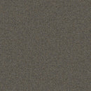 Aladdin Scholarship II QA101-928 Camel 24