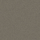 Aladdin Scholarship II QA101-948 Birch Gray 24