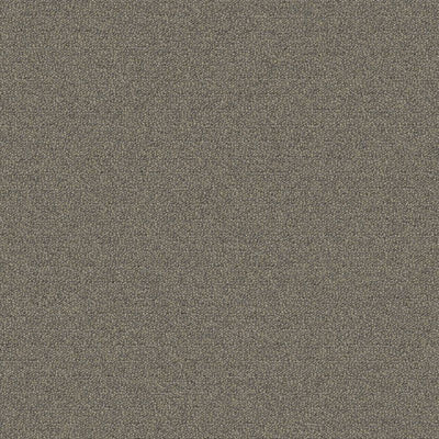 Aladdin Scholarship II QA101-948 Birch Gray 24" x 24" Carpet Tile (96 SF/Box)