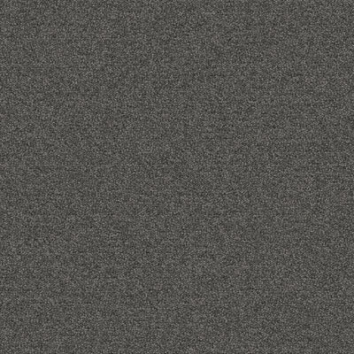 Aladdin Scholarship II QA101-964 Stainless Steel 24" x 24" Carpet Tile (96 SF/Box)