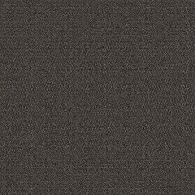 Aladdin Scholarship II QA101-978 Twilight Shadow 24" x 24" Carpet Tile (96 SF/Box)