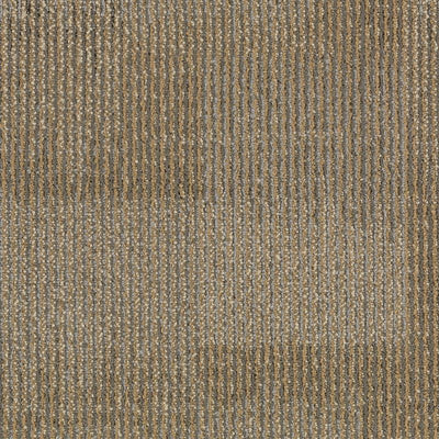 Aladdin Commerce Onward Bound 2B58-841 Seize Challenge 24" x 24" Carpet Tile (96 SF/Box)