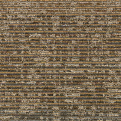 Aladdin Translations Fine Impression 2B74-841 Imaginary Point 24" x 24" Carpet Tile (96 SF/Box)