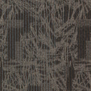 Aladdin Translations Transforming Spaces 2B80-521 Visual Edge 24