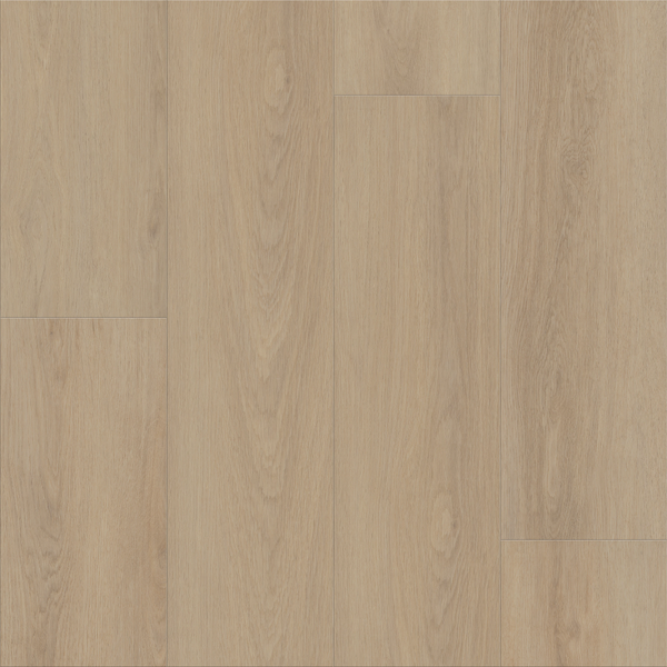 ktページstone cold and Vincent Plus Shaw Floorte Dwell 3080V-02105 Cozy Taupe 9.06