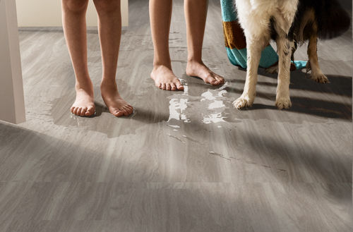 Shaw Floorte Pro Infinite SPC 3100V-00520 Shadow 6.93" x 48.03" Luxury Vinyl Plank (27.73 SF/Box)