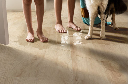 Shaw Floorte Pro Infinite SPC 3100V-01169 Sand Dune 6.93" x 48.03" Luxury Vinyl Plank (27.73 SF/Box)