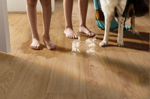 Shaw Floorte Pro Infinite SPC 3100V-06040 Honeycomb 6.93" x 48.03" Luxury Vinyl Plank (27.73 SF/Box)