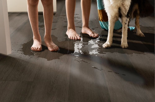 Shaw Floorte Pro Infinite SPC 3100V-07099 Boheme Brown 6.93" x 48.03" Luxury Vinyl Plank (27.73 SF/Box)