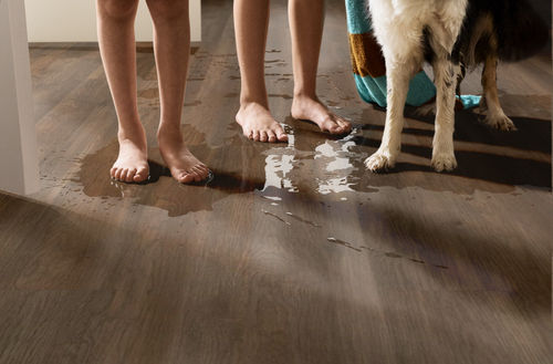 Shaw Floorte Pro Infinite SPC 3100V-07195 Raconteur 6.93" x 48.03" Luxury Vinyl Plank (27.73 SF/Box)